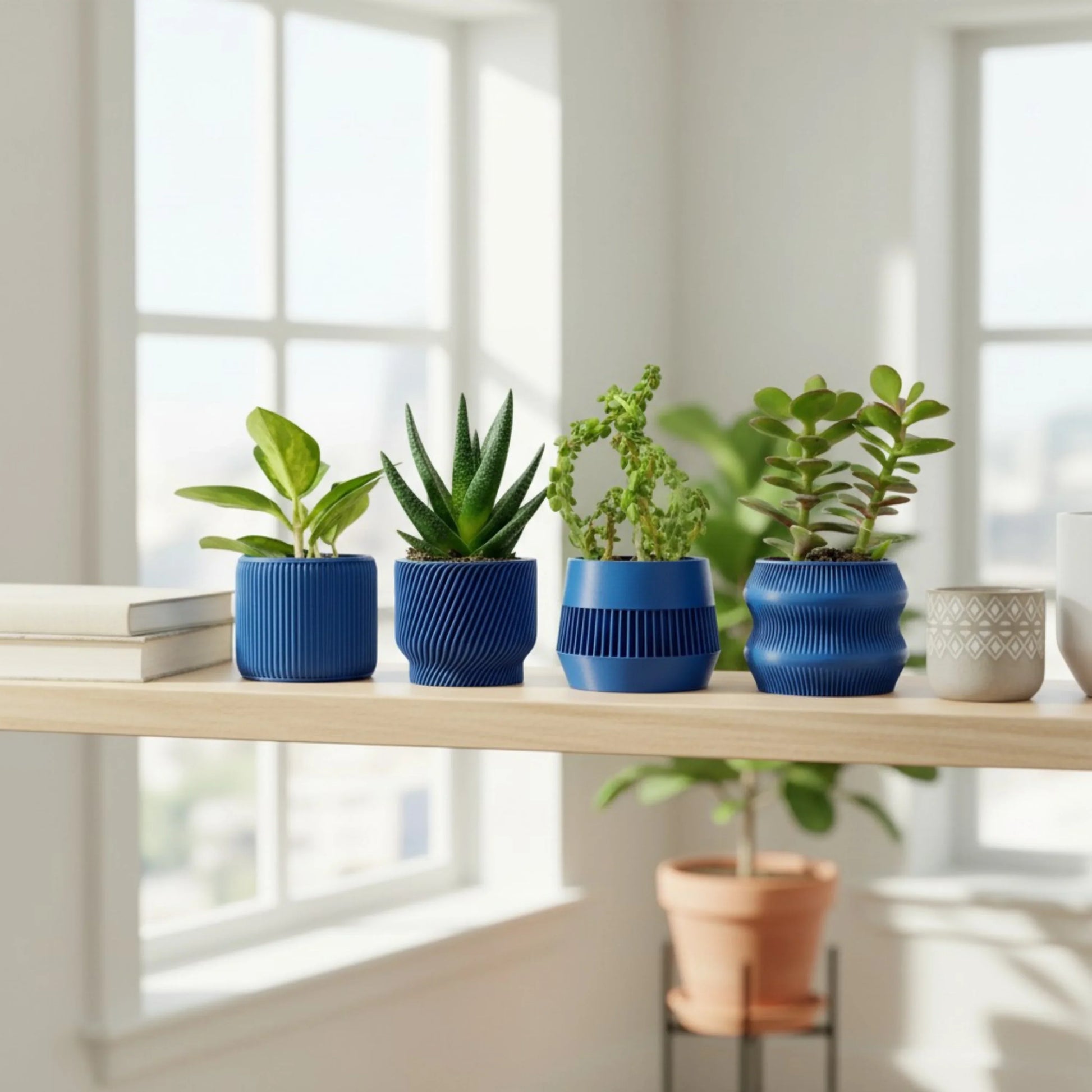 Navy Blue Succulent Set - Pack of 4 - lellume