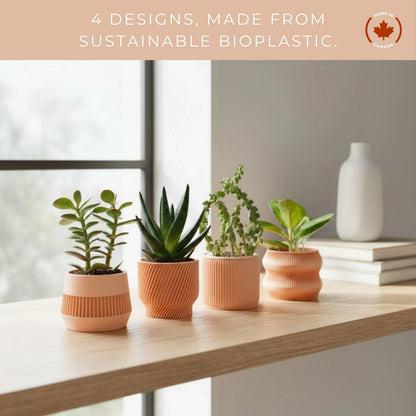 Peach Succulent Planter Set of 4 - lellume