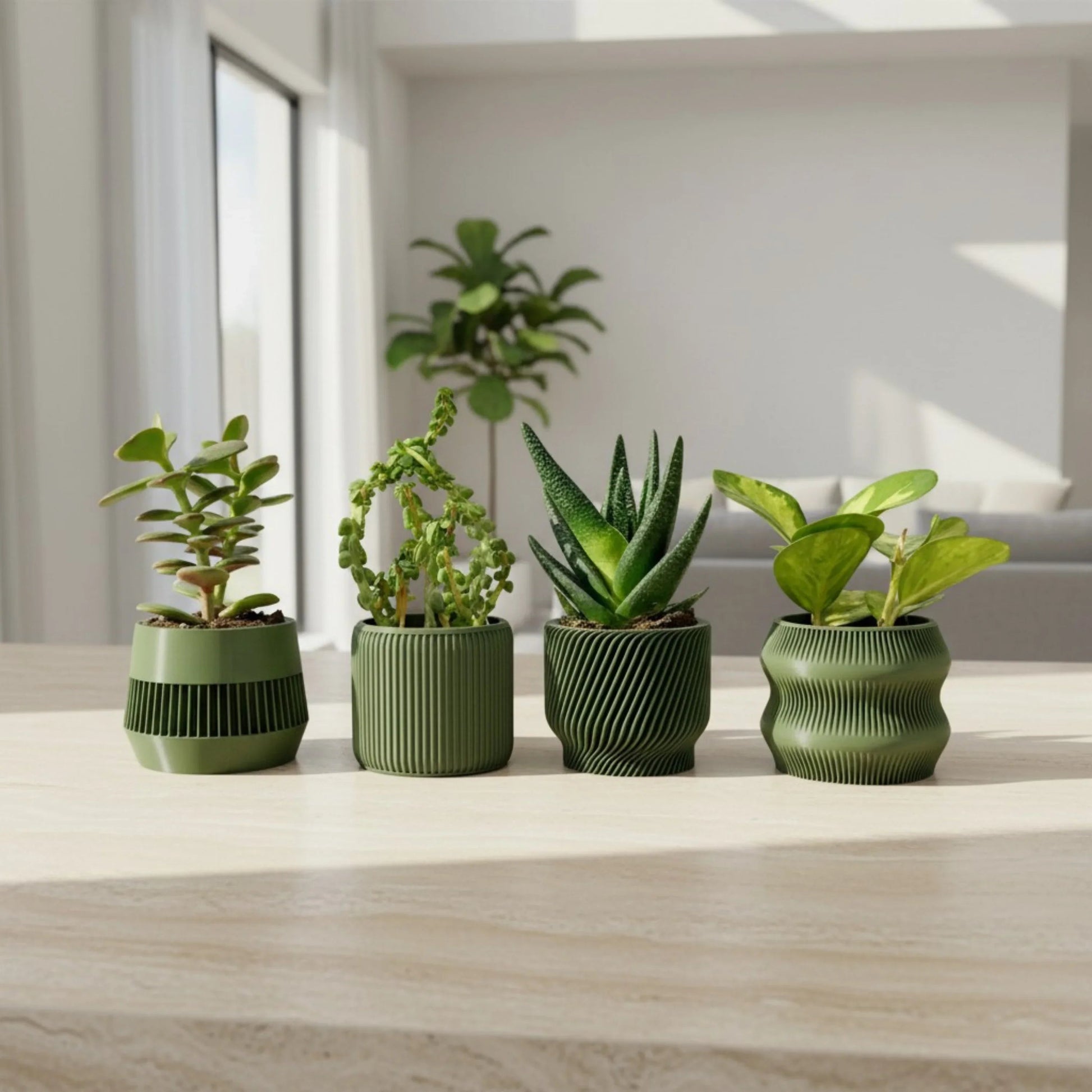 Olive Green Succulent Planter Set of 4 - lellume