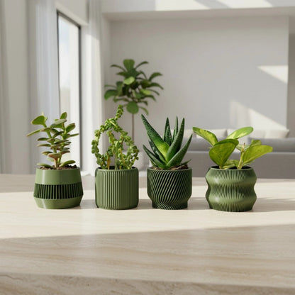 Olive Green Succulent Planter Set of 4 - lellume