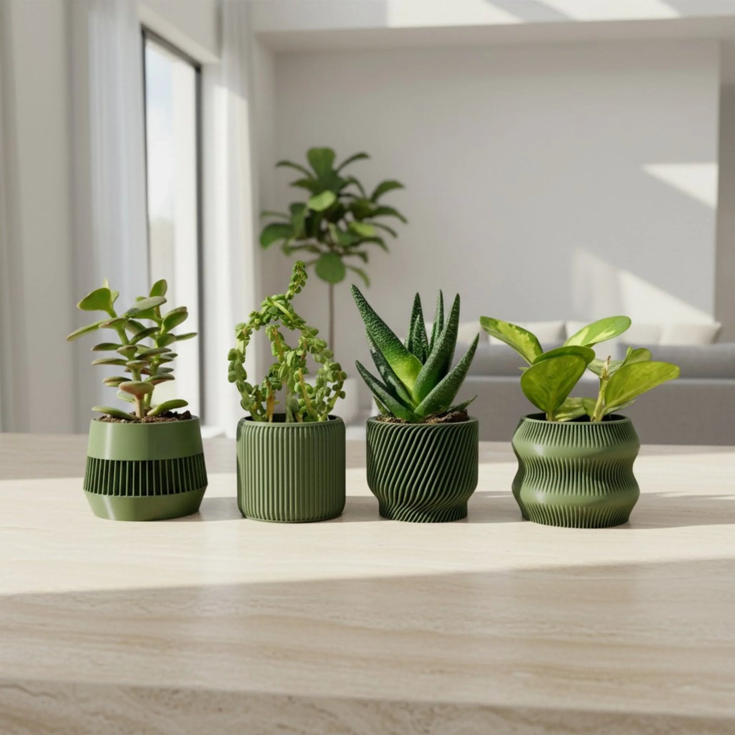 Olive Green Succulent Set - Pack of 4 - lellume
