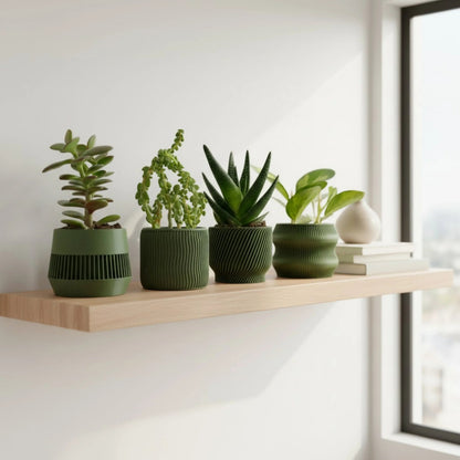 Olive Green Succulent Planter Set of 4 - lellume