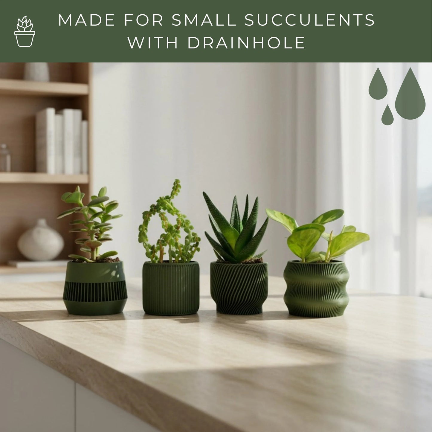 Olive Green Succulent Planter Set of 4 - lellume