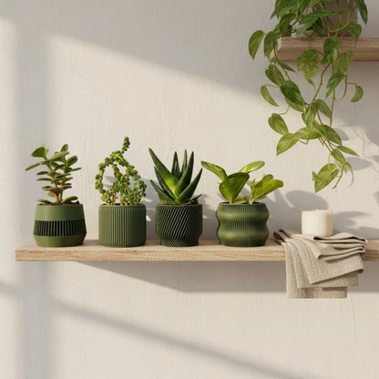 Olive Green Succulent Planter Set of 4 - lellume
