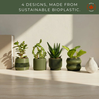 Olive Green Succulent Planter Set of 4 - lellume