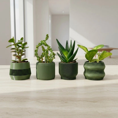 Olive Green Succulent Planter Set of 4 - lellume