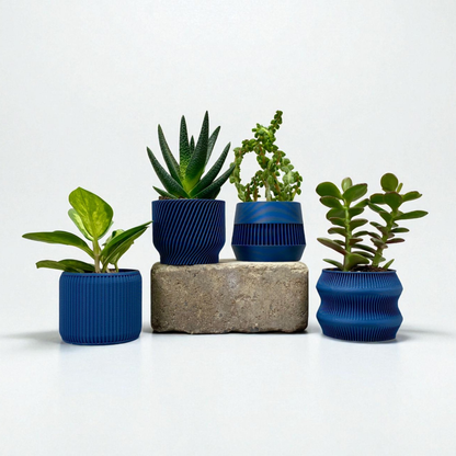 Navy Blue Succulent Set - Pack of 4