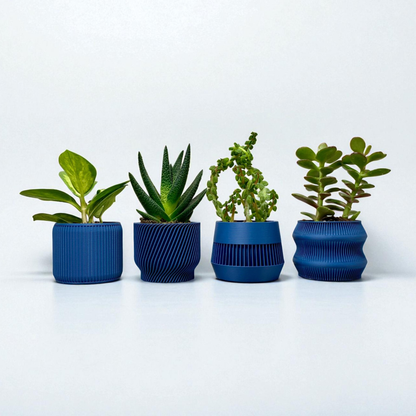 Navy Blue Succulent Set - Pack of 4