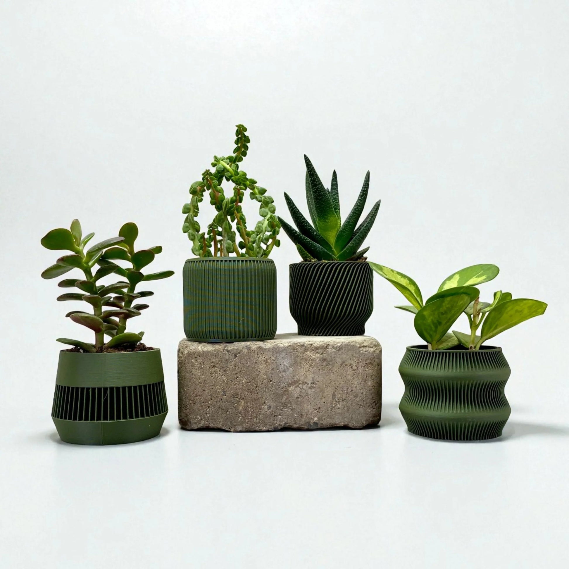 Olive Green Succulent Planter Set of 4 - lellume