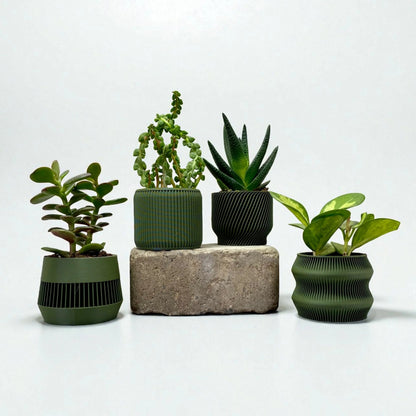 Olive Green Succulent Planter Set of 4 - lellume