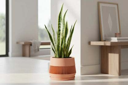 Verde Peach Planter - lellume