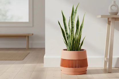 Verde Peach Planter - lellume