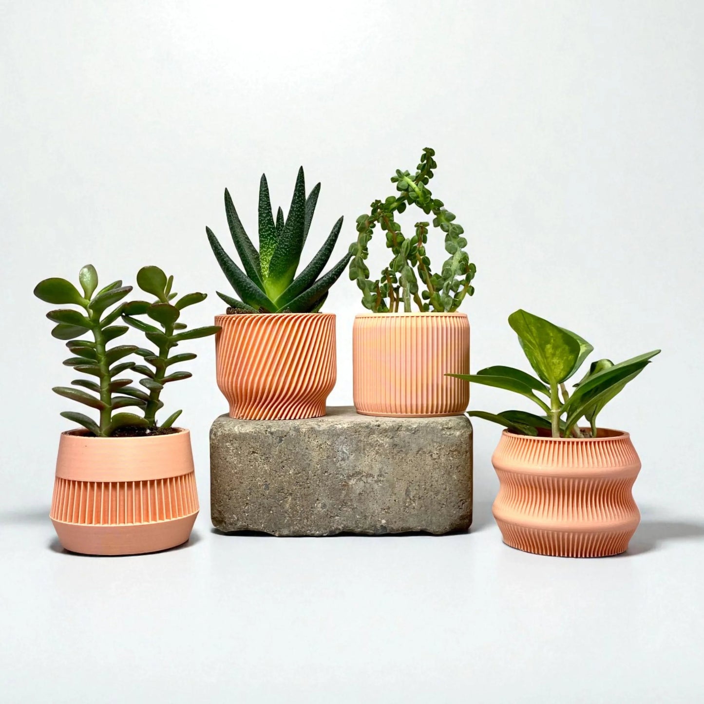 Peach Succulent Planter Set of 4 - lellume