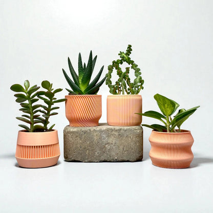 Peach Succulent Planter Set of 4 - lellume