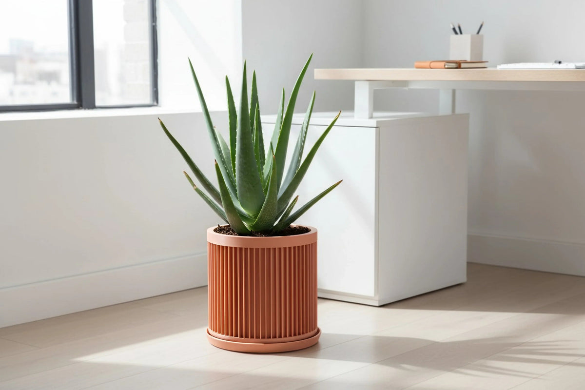 Cycle Peach Planter - lellume