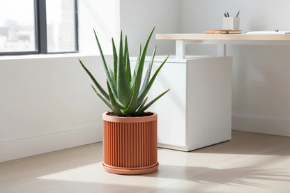 Cycle Peach Planter - lellume