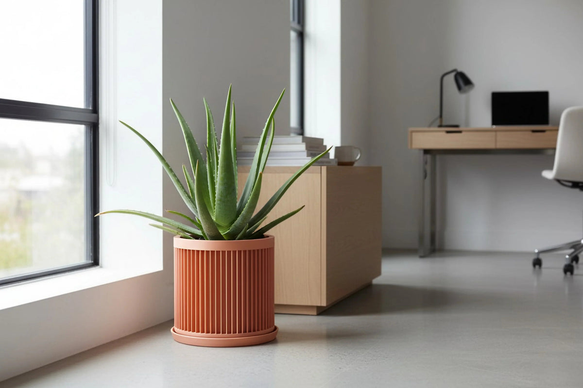 Cycle Peach Planter - lellume