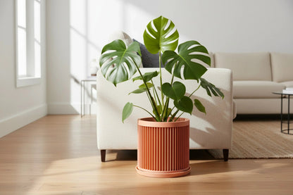 Cycle Peach Planter - lellume
