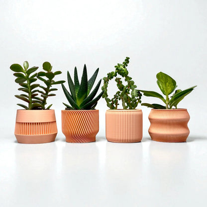 Peach Succulent Planter Set of 4 - lellume