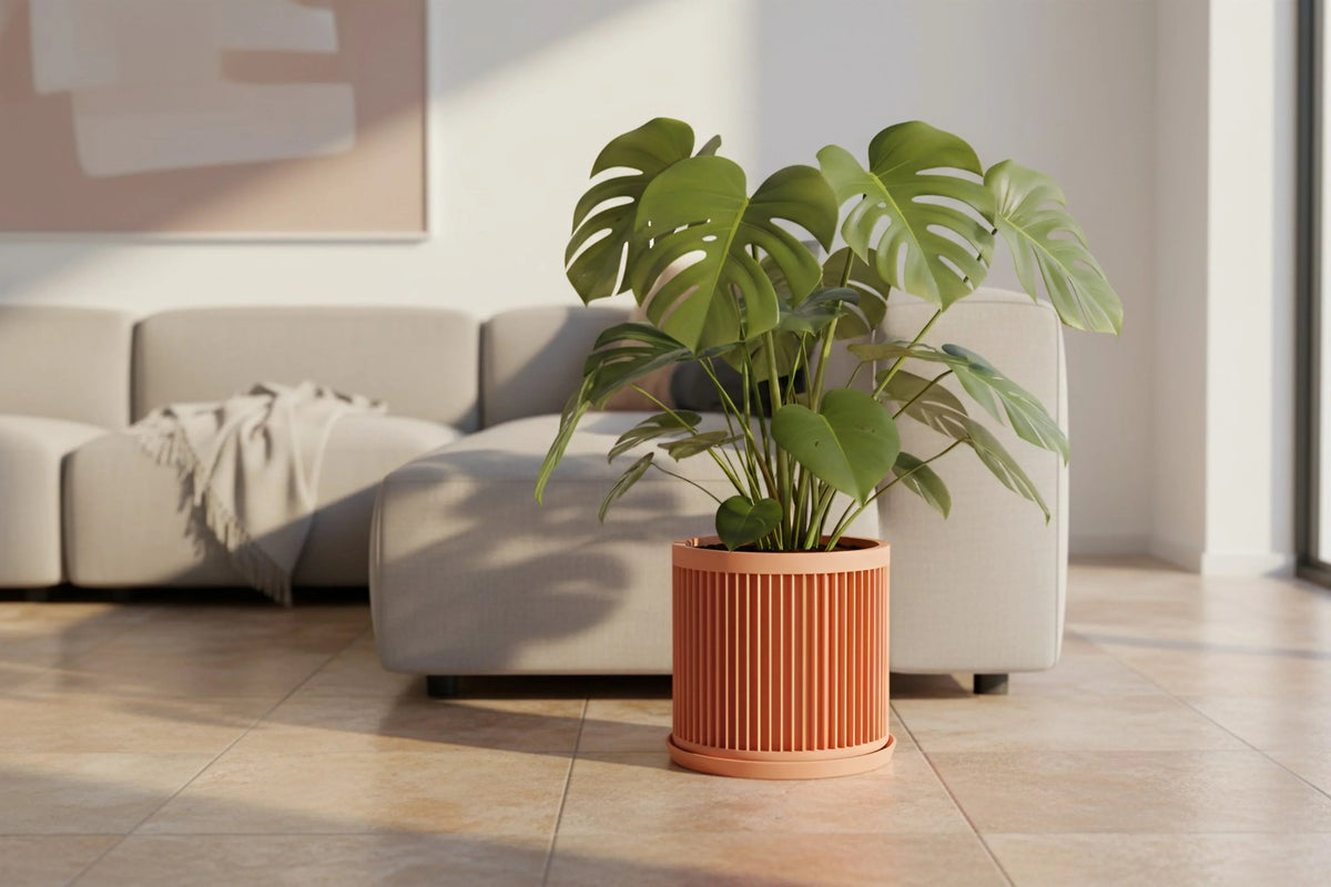 Cycle Peach Planter - lellume