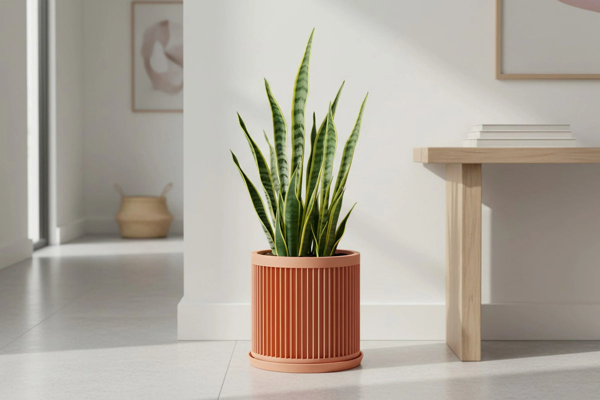 Cycle Peach Planter - lellume