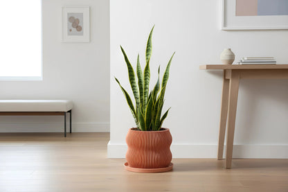 Bloom Peach Planter - lellume