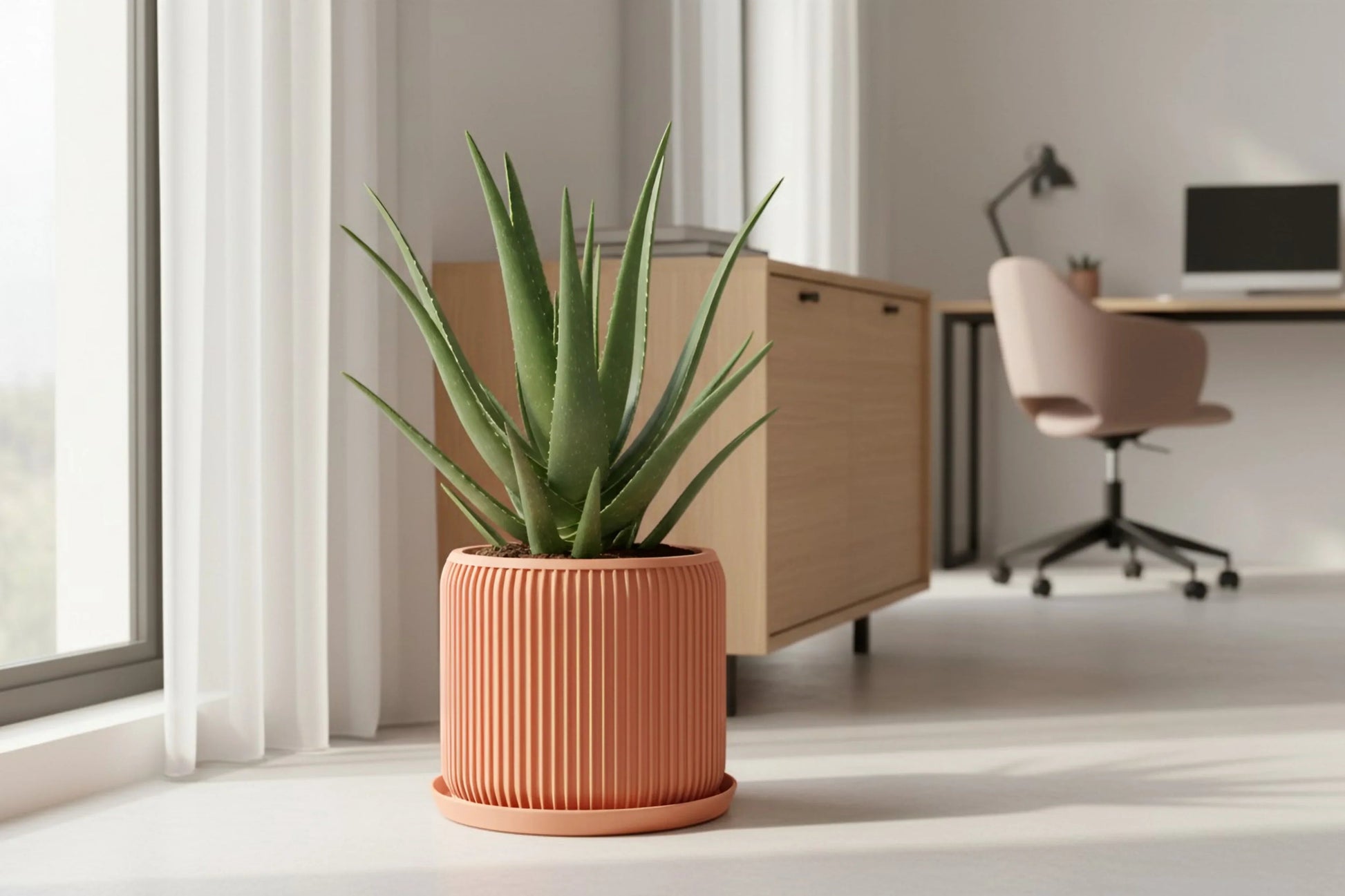 Terra Peach Planter - lellume