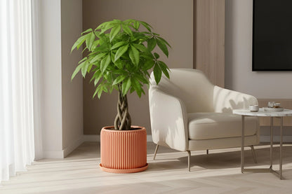 Terra Peach Planter - lellume