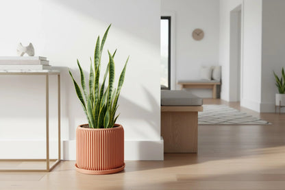 Terra Peach Planter - lellume