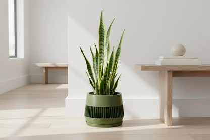Verde Olive Green Planter - lellume