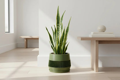 Verde Planter - lellume