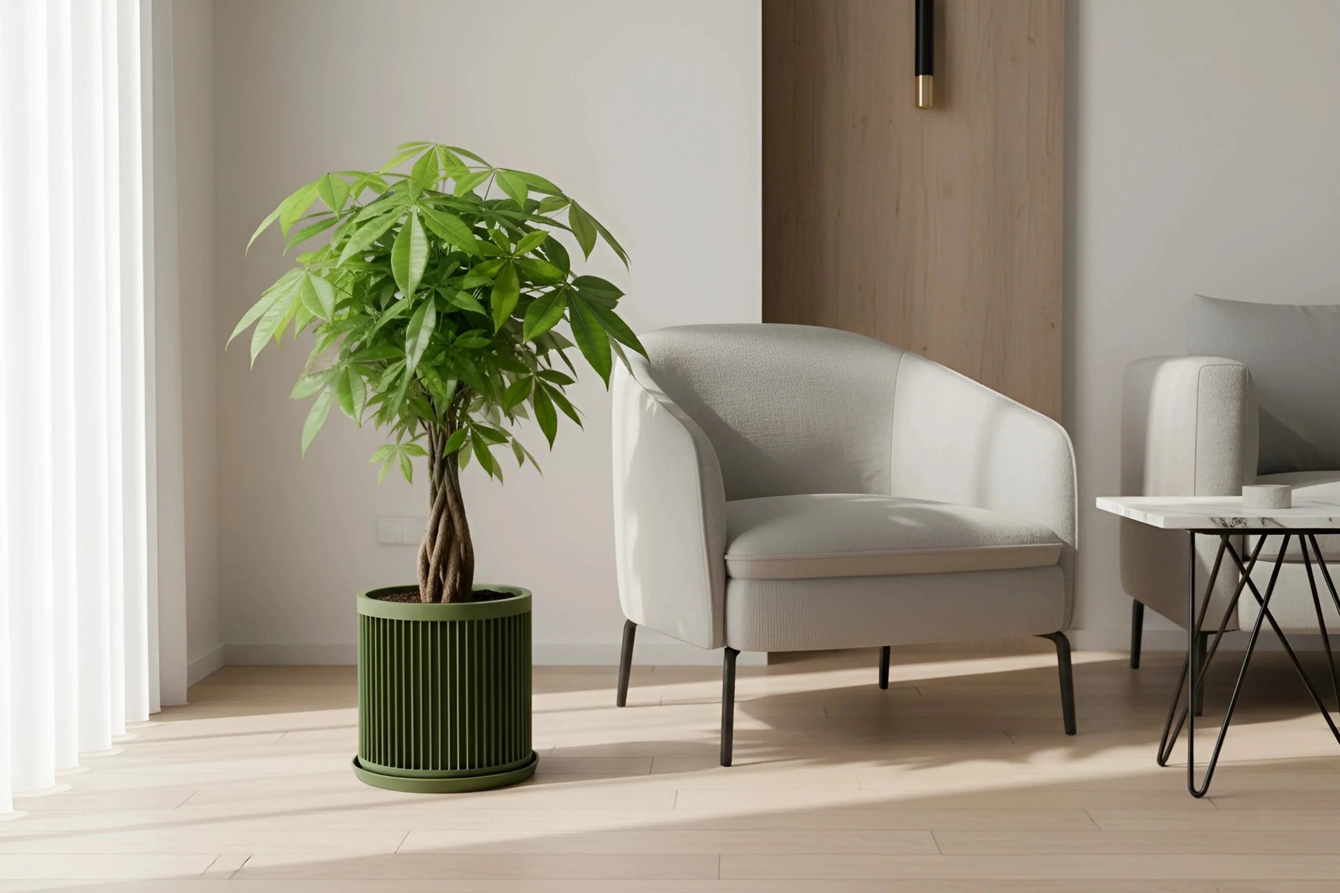 Cycle Planter - lellume