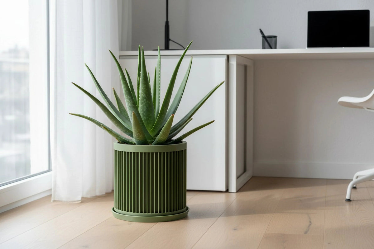 Cycle Olive Green Planter - lellume