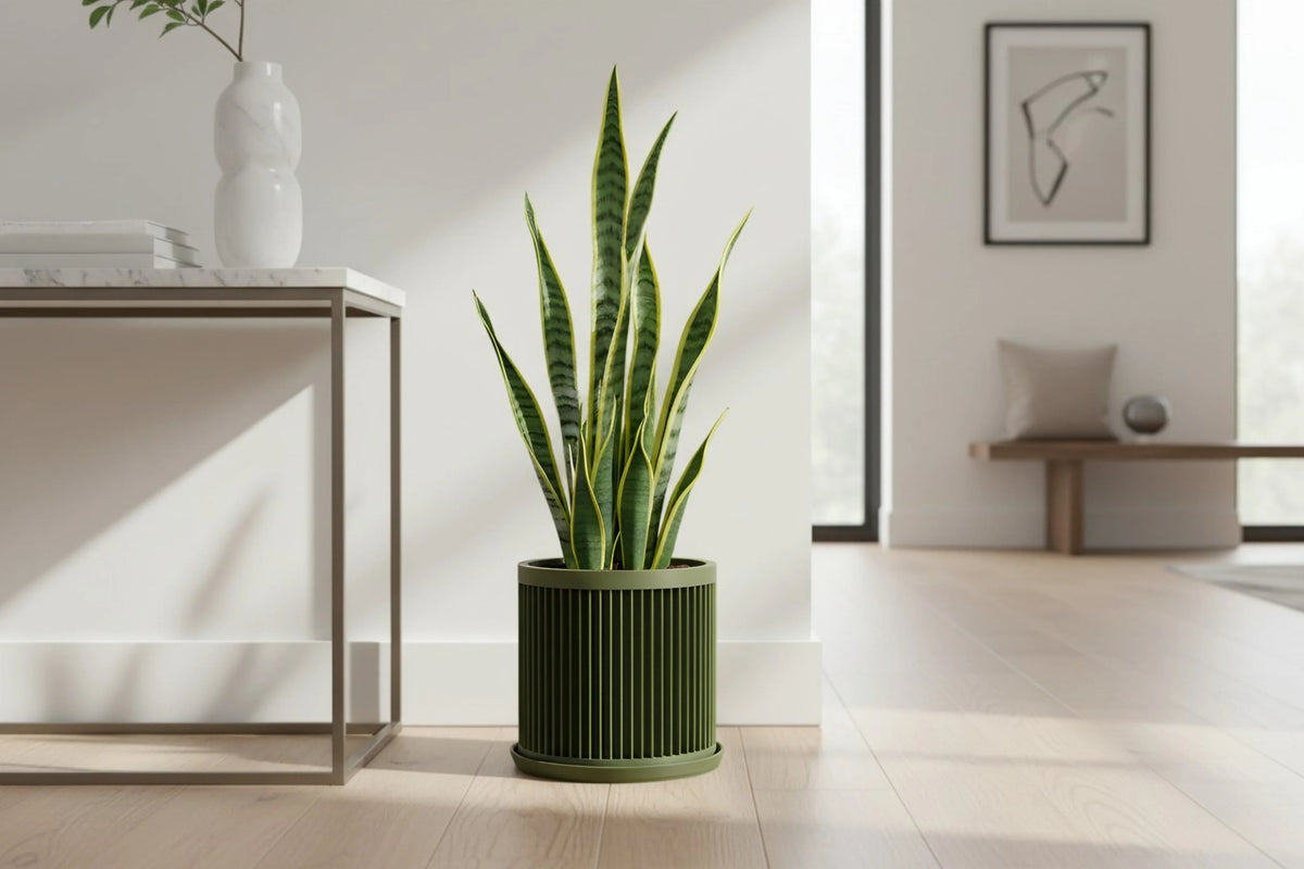 Cycle Olive Green Planter - lellume
