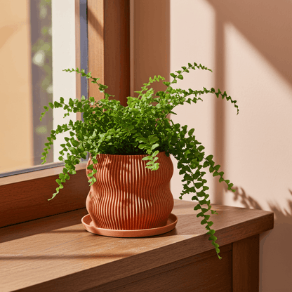 Bloom Peach Planter - lellume