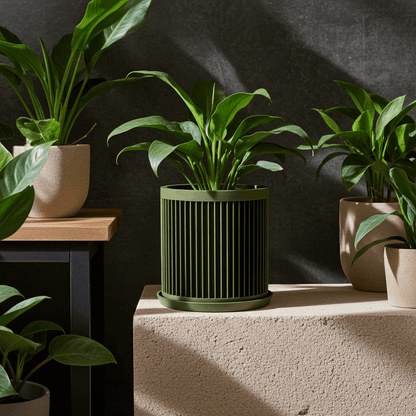 Cycle Olive Green Planter - lellume