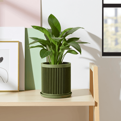 Cycle Olive Green Planter - lellume