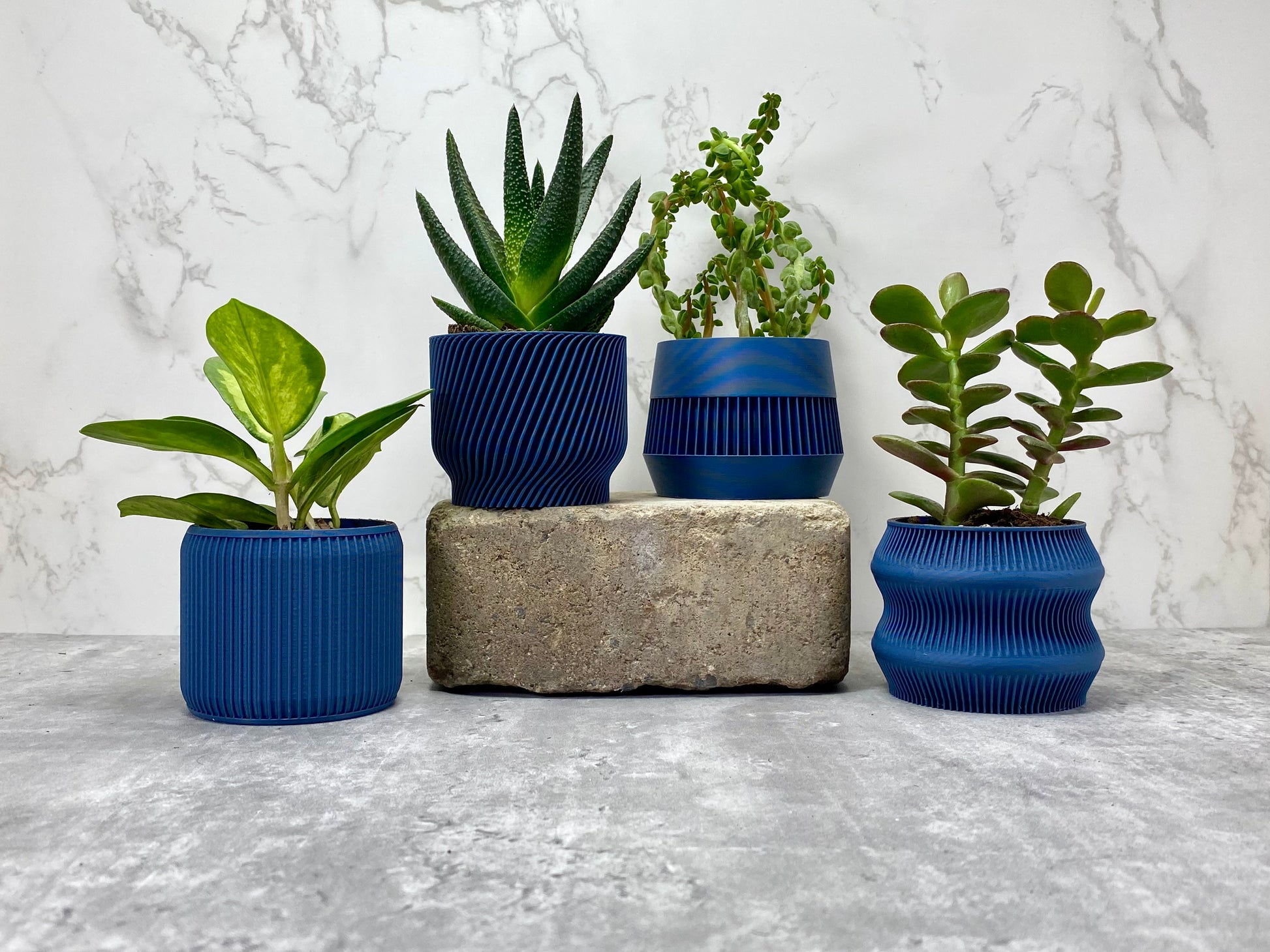 Navy Blue Succulent Set - Pack of 4 - lellume