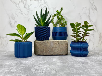 Navy Blue Succulent Set - Pack of 4 - lellume