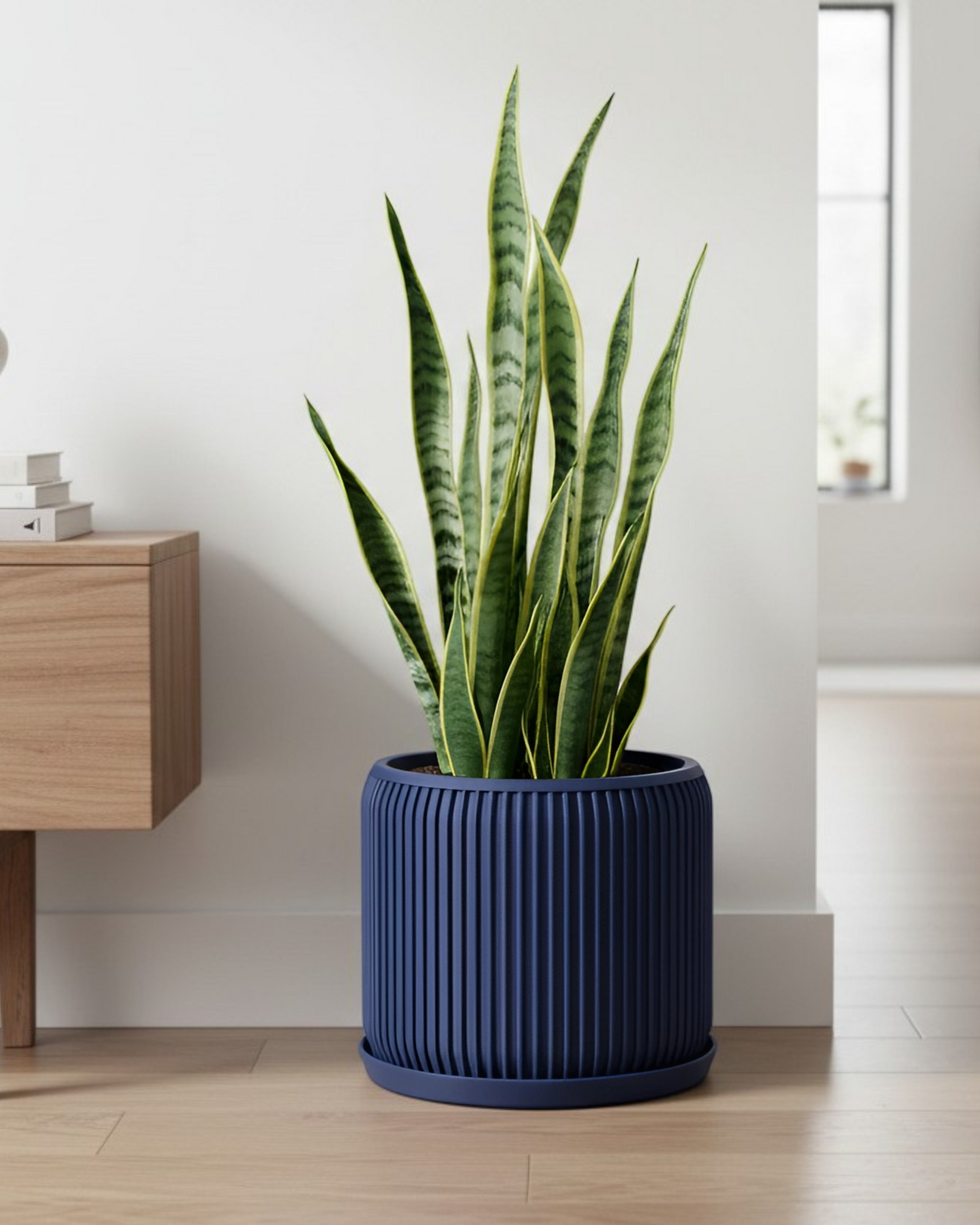 Narrow pot with green plant on a wooden floor against a white wall