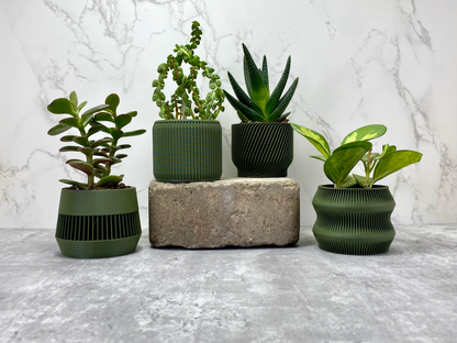 Olive Green Succulent Set - Pack of 4 - lellume