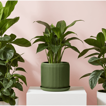 Terra Olive Green Planter - lellume