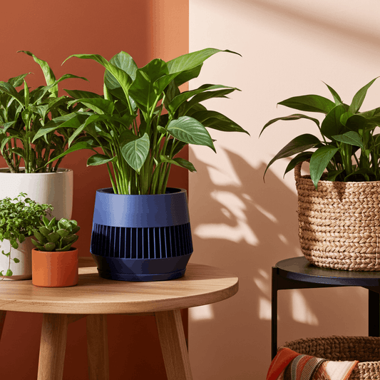 Verde Navy Blue Planter - lellume
