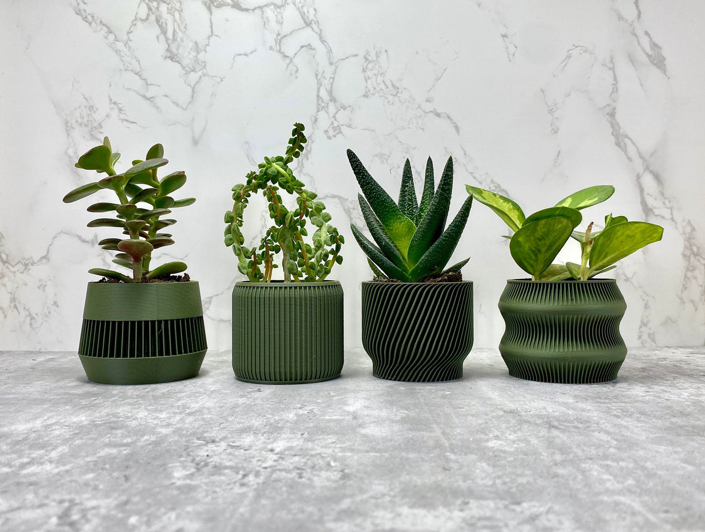 Olive Green Succulent Set - Pack of 4 - lellume