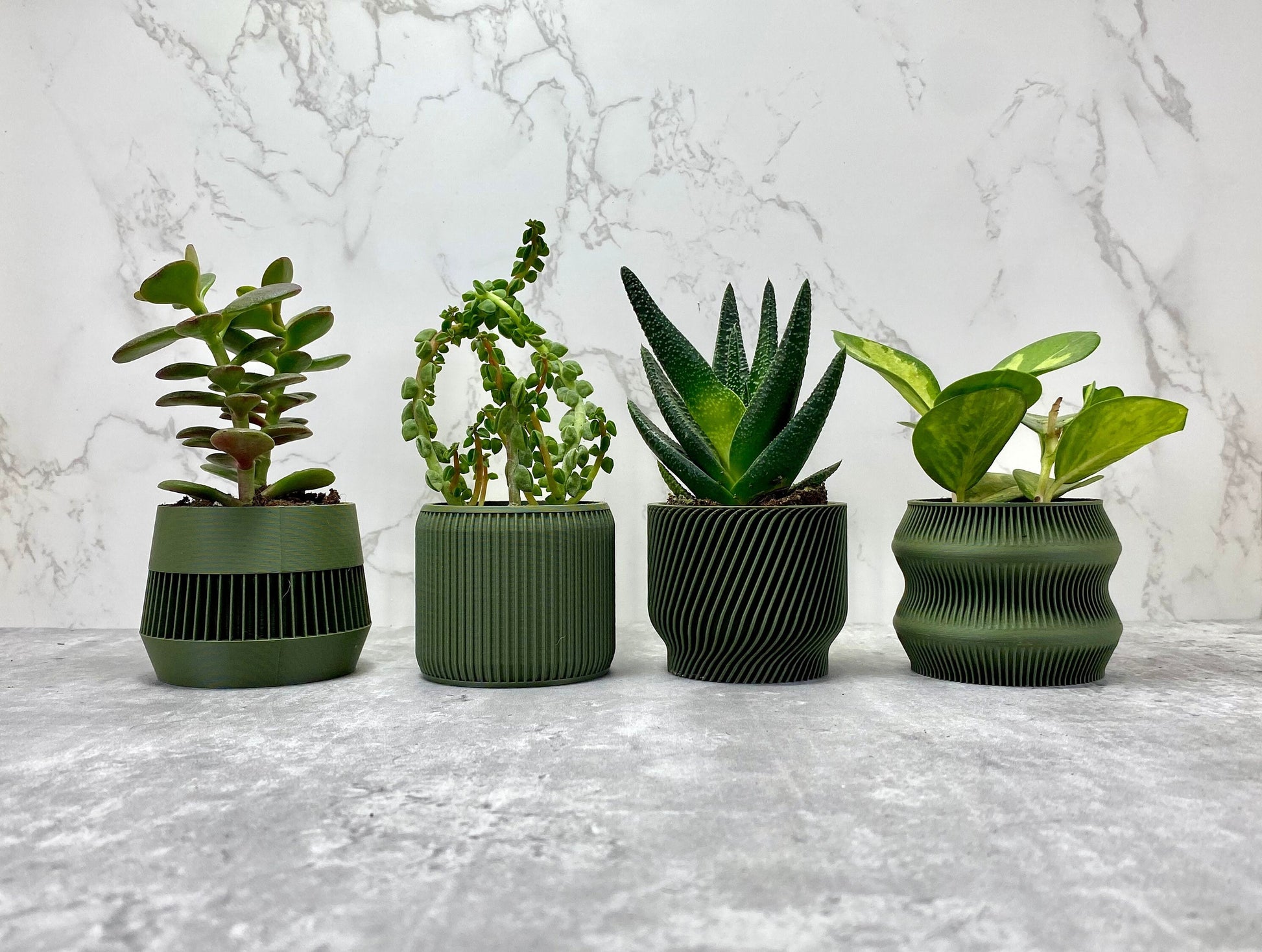 Olive Green Succulent Set - Pack of 4 - lellume