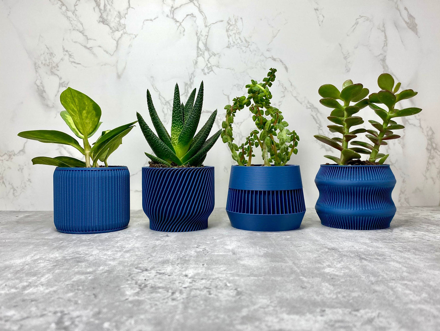 Navy Blue Succulent Set - Pack of 4 - lellume